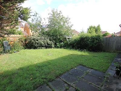Picture 14